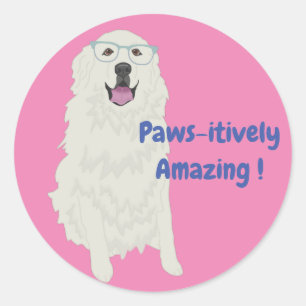 Pawsitively Amazing Education Sticker