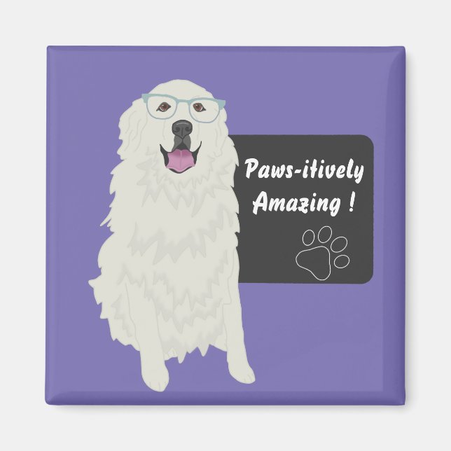 Pawsitively Amazing Education Sticker Magnet (Front)