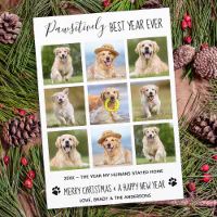 https://rlv.zcache.com/pawsitively_best_year_ever_dog_pet_photo_collage_h_holiday_card-r_8xr0sc_200.webp