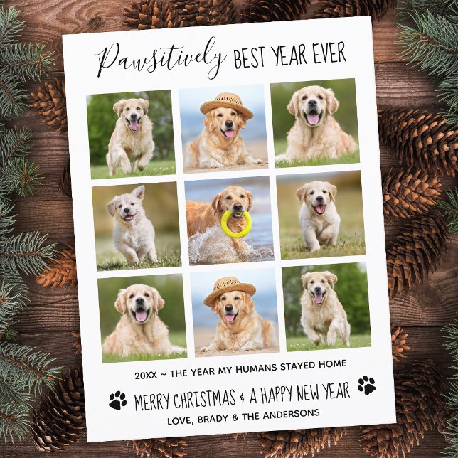 Pawsitively Best Year Ever Dog Pet Photo Collage H Postcard (Creator Uploaded)
