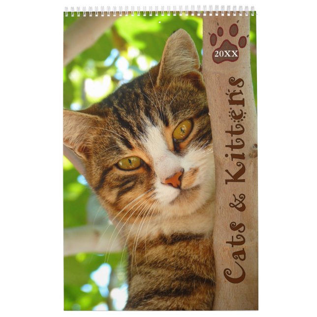 Pawsitively Cats and Kittens 2021 Calendar (Cover)