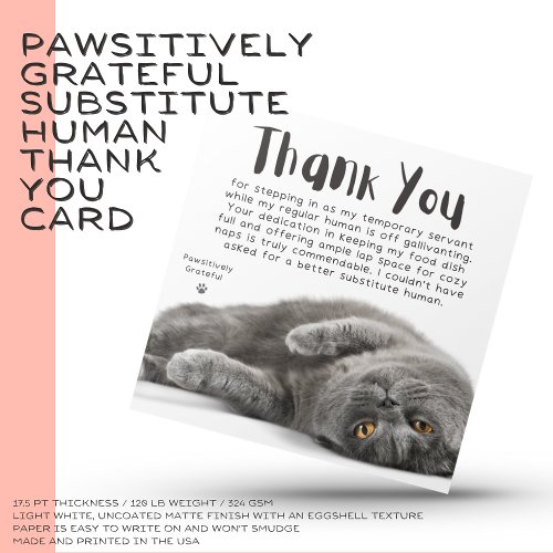 Pawsitively Grateful Substitute Human Thank You Holiday Card
