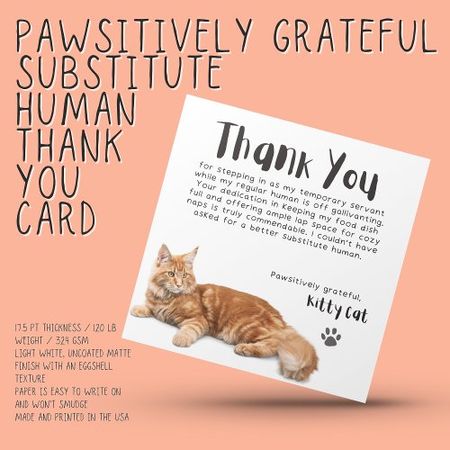 Pawsitively Grateful Substitute Human Thank You OC Holiday Card