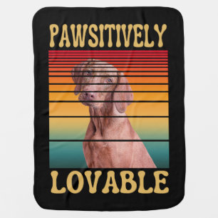 PAWSITIVELY LOVABLE BABY BLANKET