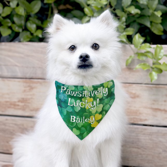 Pawsitively Lucky Pet Bandana Collar (Dog)