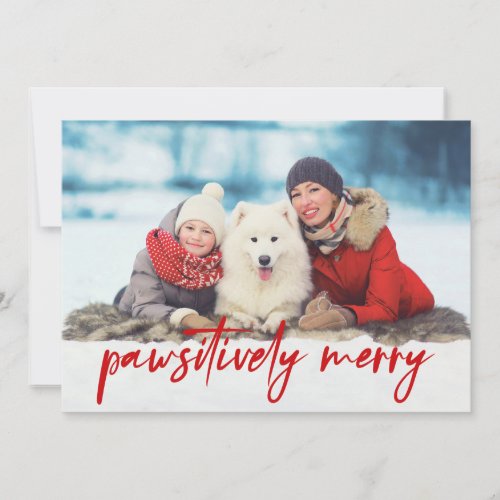 Pawsitively Merry 3 Photo Pet Holiday Card