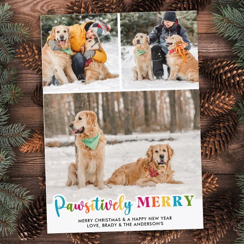 Pawsitively Merry Colorful Custom Pet Dog 3 Photo Holiday Card