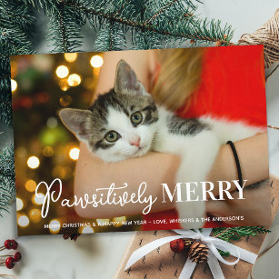 Pawsitively Merry Custom Pet Cat Photo Christmas Holiday Card