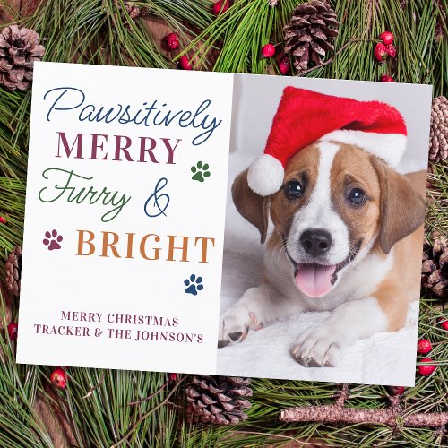 Pawsitively Merry Custom Pet Photo Furry  Bright  Holiday Postcard