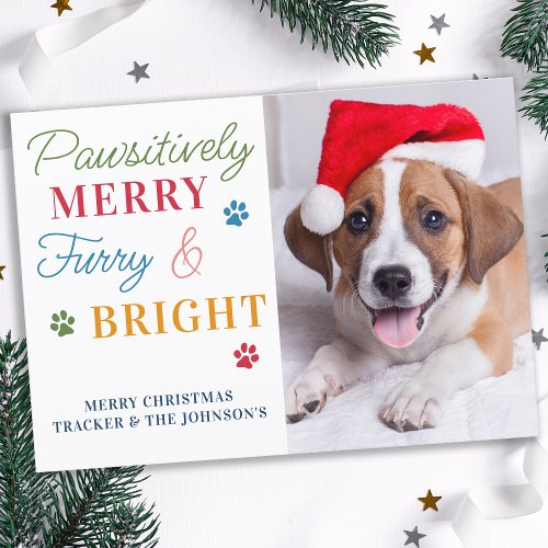 Pawsitively Merry Furry  Bright Custom Pet Photo Holiday Card