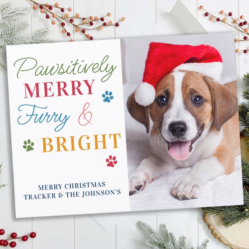 Pawsitively Merry Furry  Bright Custom Pet Photo Holiday Postcard