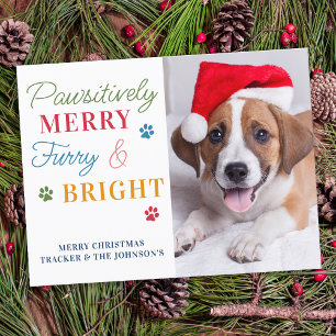 Pawsitively Merry Furry & Bright Custom Pet Photo Postcard