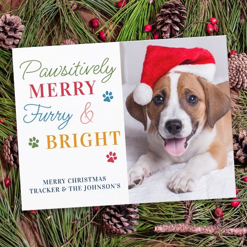 Pawsitively Merry Furry  Bright Custom Pet Photo Postcard