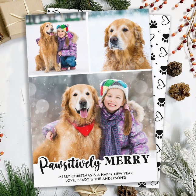 Pawsitively Merry Personalized 3 Photo Dog Lover Holiday Card (Creator Uploaded)