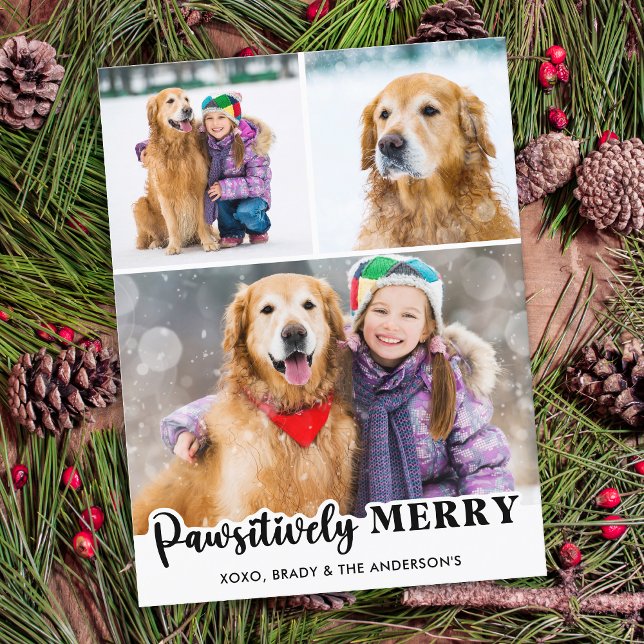 Pawsitively Merry Personalized 3 Photo Dog Lover Holiday Postcard (Creator Uploaded)