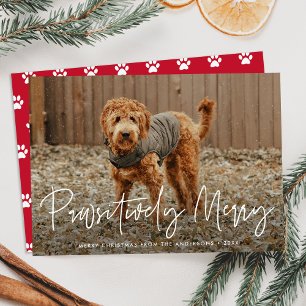 Pawsitively Merry Red Pet Photo Holiday Card