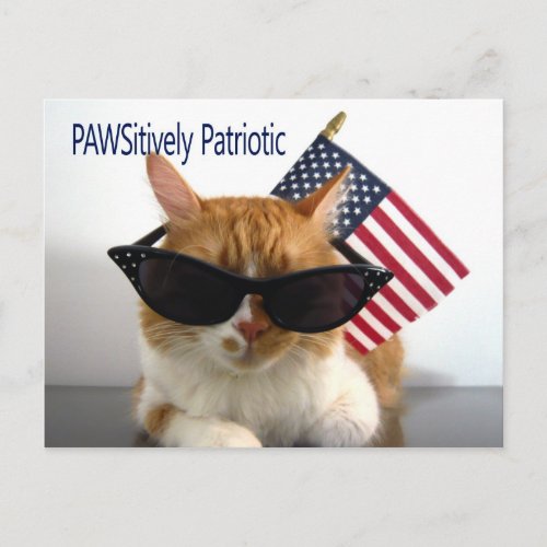 PAWSitively Patriotic Cat Postcard