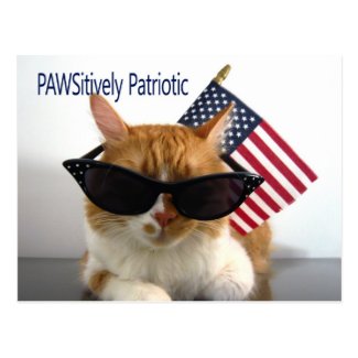 PAWSitively Patriotic Cat Postcard