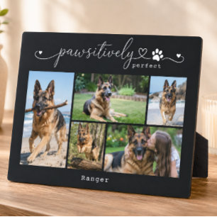 Pawsitively Perfect Black Pet Five Photo Keepsake Plaque