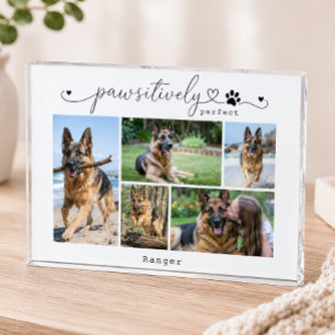 Pawsitively Perfect White Pet Five Photo Keepsake Block