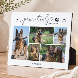 Pawsitively Perfect White Pet Five Photo Keepsake Plaque