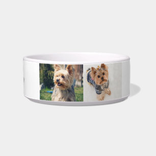 "Pawsitively Personalized Yorkie Medium Bowl