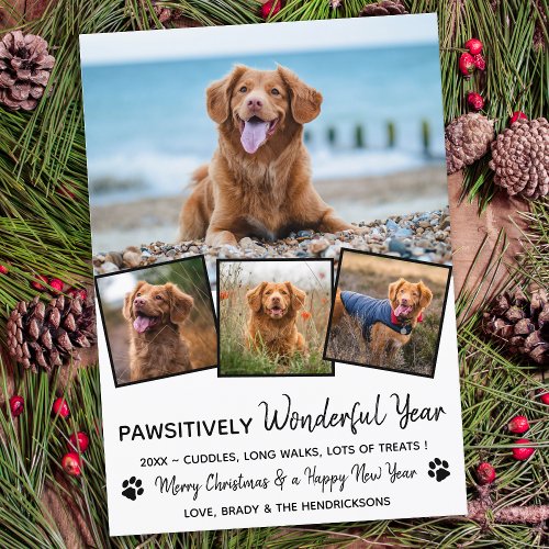 Pawsitively Pet Year in Review Cute 4 Dog Photo Holiday Card