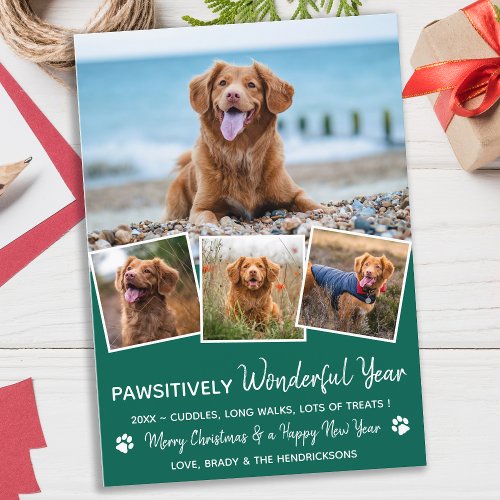 Pawsitively Pet Year in Review Puppy Dog Photo Holiday Card