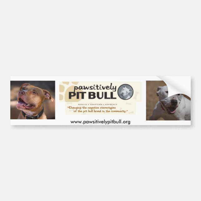 Pawsitively Pit Bull Bumper Sticker (Front)