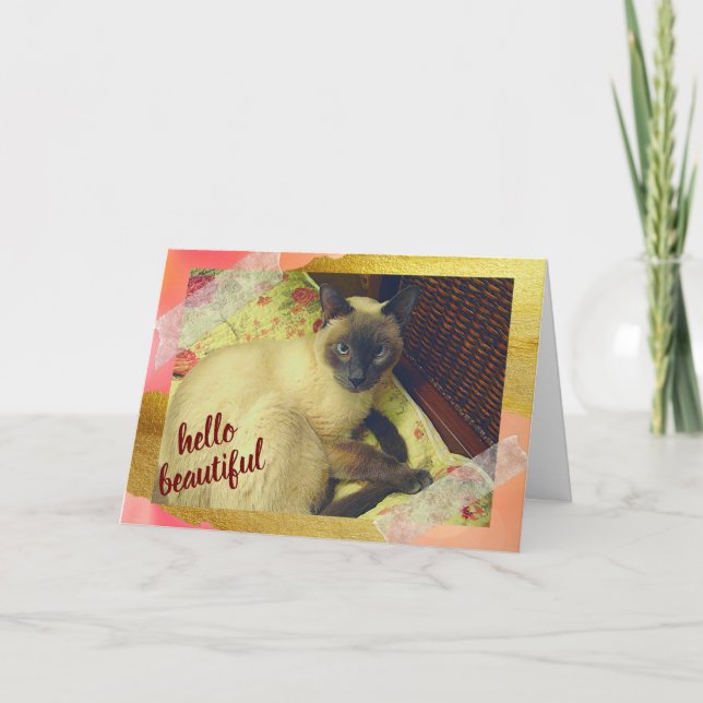 Pawsitively Purrfect Day with Siamese Cat Collage Card (Front)
