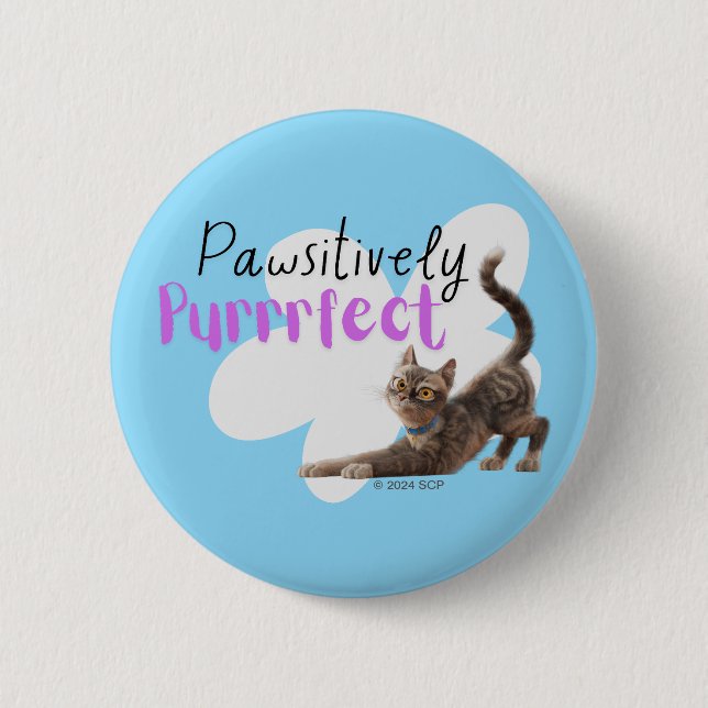 Pawsitively Purrrfect Button (Front)