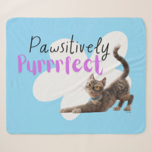 Pawsitively Purrrfect Sherpa Blanket