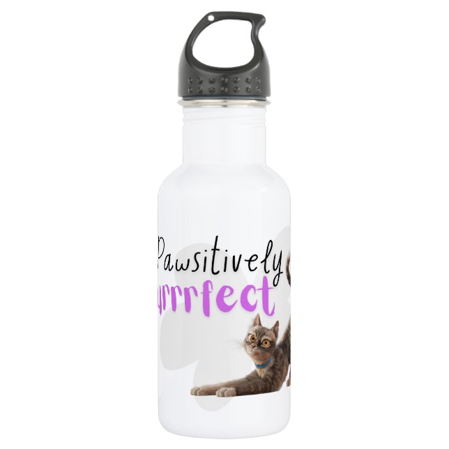 Pawsitively Purrrfect Stainless Steel Water Bottle (Front)