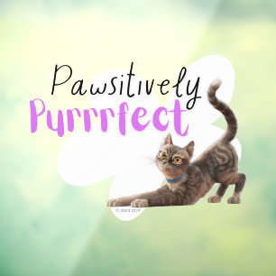 Pawsitively Purrrfect Window Cling