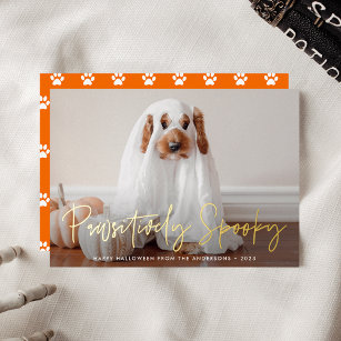 Pawsitively Spooky Halloween Pet Photo Foil Holiday Card