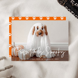 Pawsitively Spooky Halloween Pet Photo Holiday Card