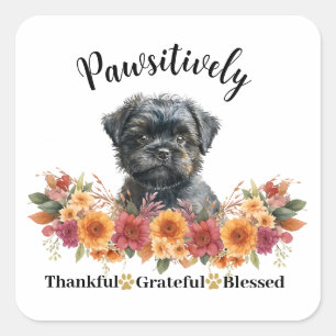 Pawsitively Thankful Grateful Blessed Cute Dog Square Sticker