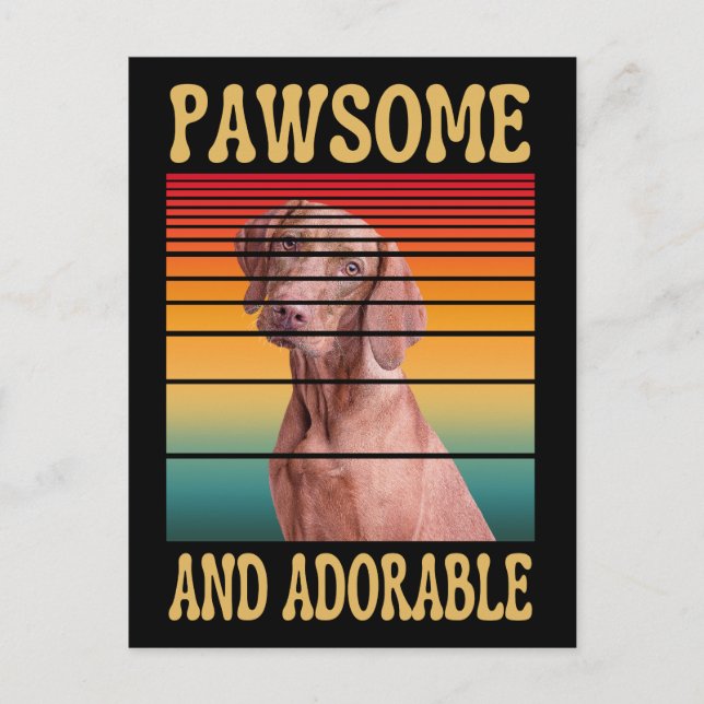 PAWSOME AND ADORABLE  POSTCARD (Front)
