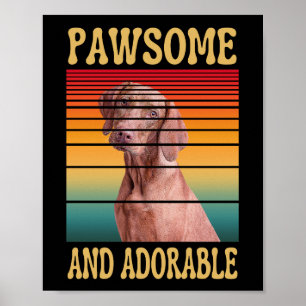PAWSOME AND ADORABLE  POSTER
