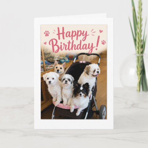 Pawsome Birthday Five Dogs Greeting Card