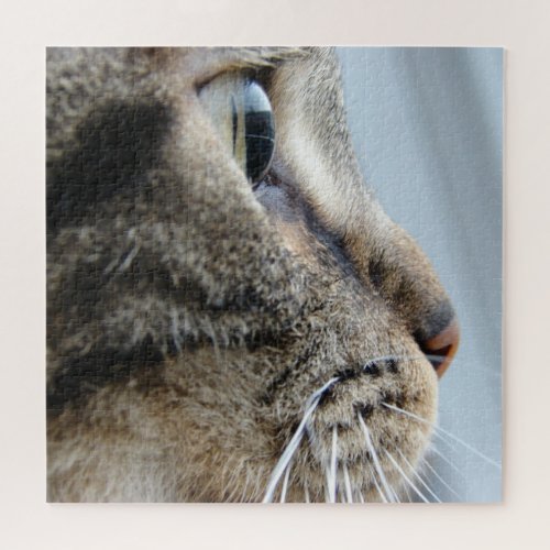 Pawsome Cat Profile Close_Up Photo 676 pieces Jigsaw Puzzle