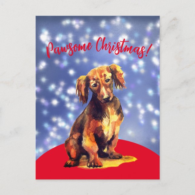 Pawsome christmas with a sausage dog ! Postcard (Front)