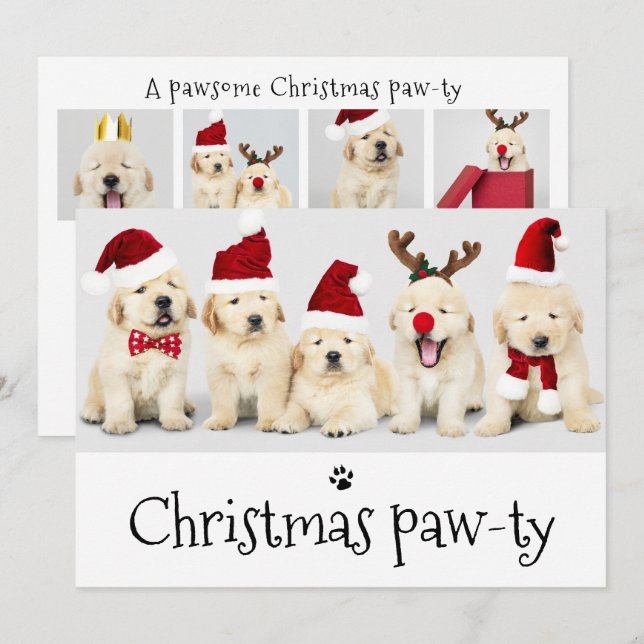 Pawsome Dog Pawty Christmas 5 Photo Card (Front/Back)