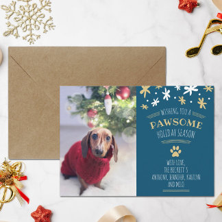 Pawsome Holiday Season Pet Holiday Photo