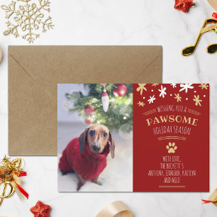 Pawsome Holiday Season Pet Holiday Photo Card
