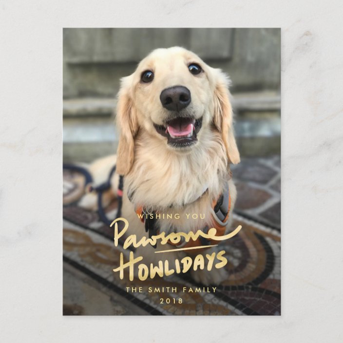  Pawsome  Howlidays Funny  Dog  Pun Photo Holiday Zazzle com