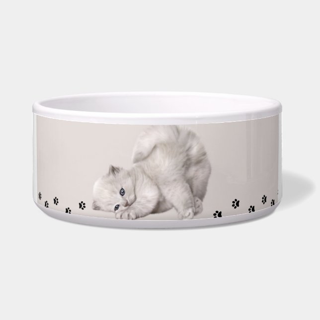"Pawyer Bowl"? Kitten🐾✨ Bowl (Front)