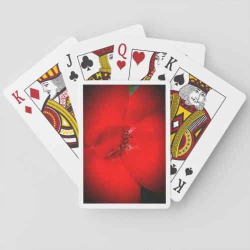 Pay attention playing cards