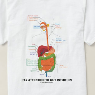 Pay Attention To Gut Intuition (Anatomical Humor) T-Shirt
