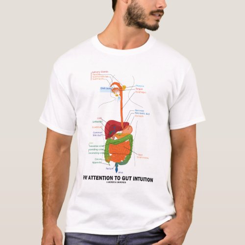 Pay Attention To Gut Intuition Anatomical Humor T_Shirt